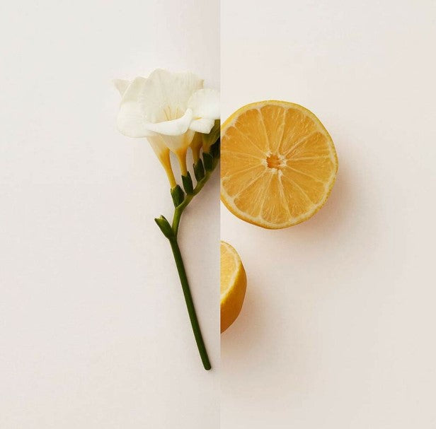 Burberry My Burberry EDP 90ml